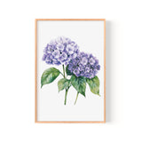 a framed watercolor painting of two purple hydrangea flowers with green leaves.