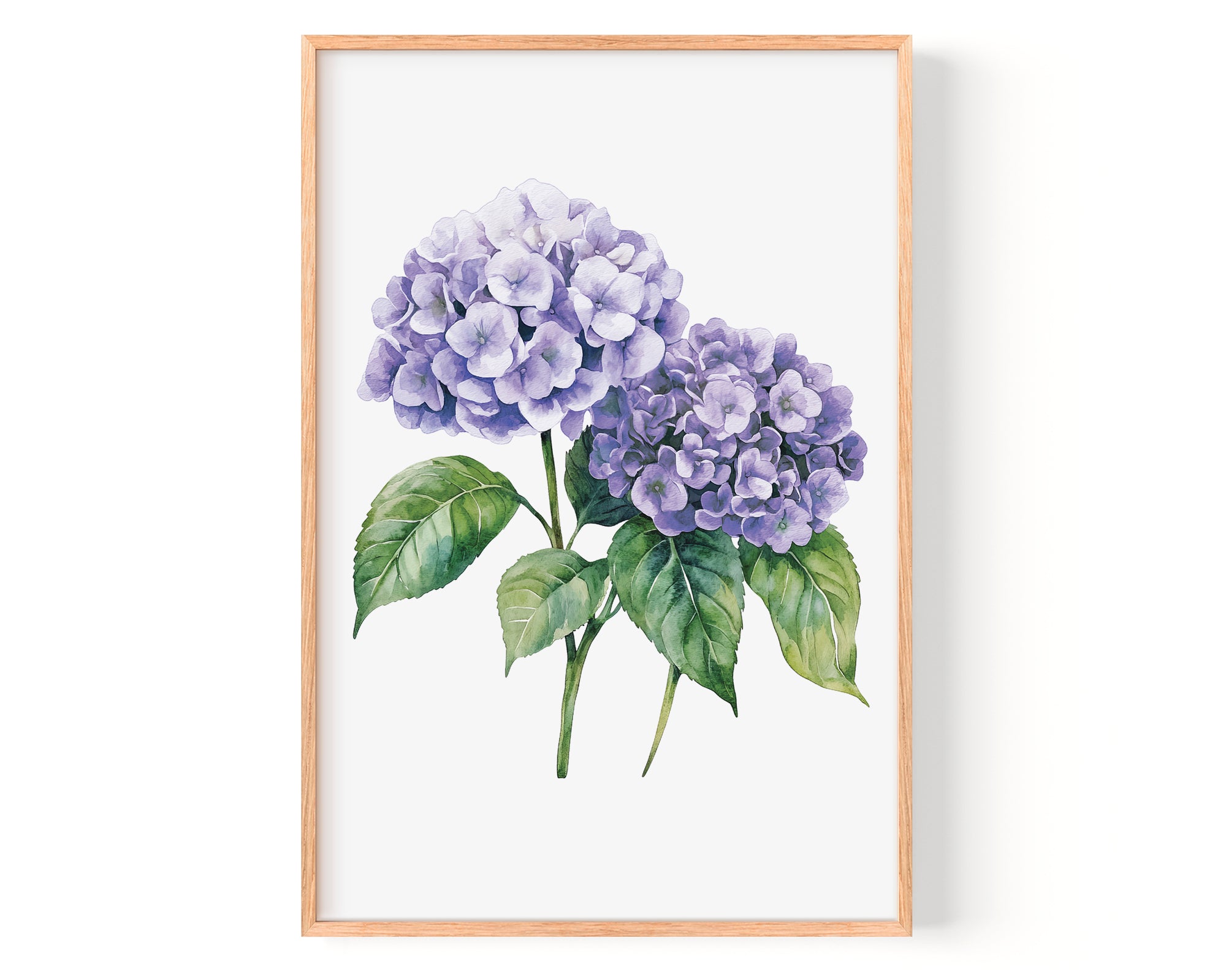 a framed watercolor painting of two purple hydrangea flowers with green leaves.