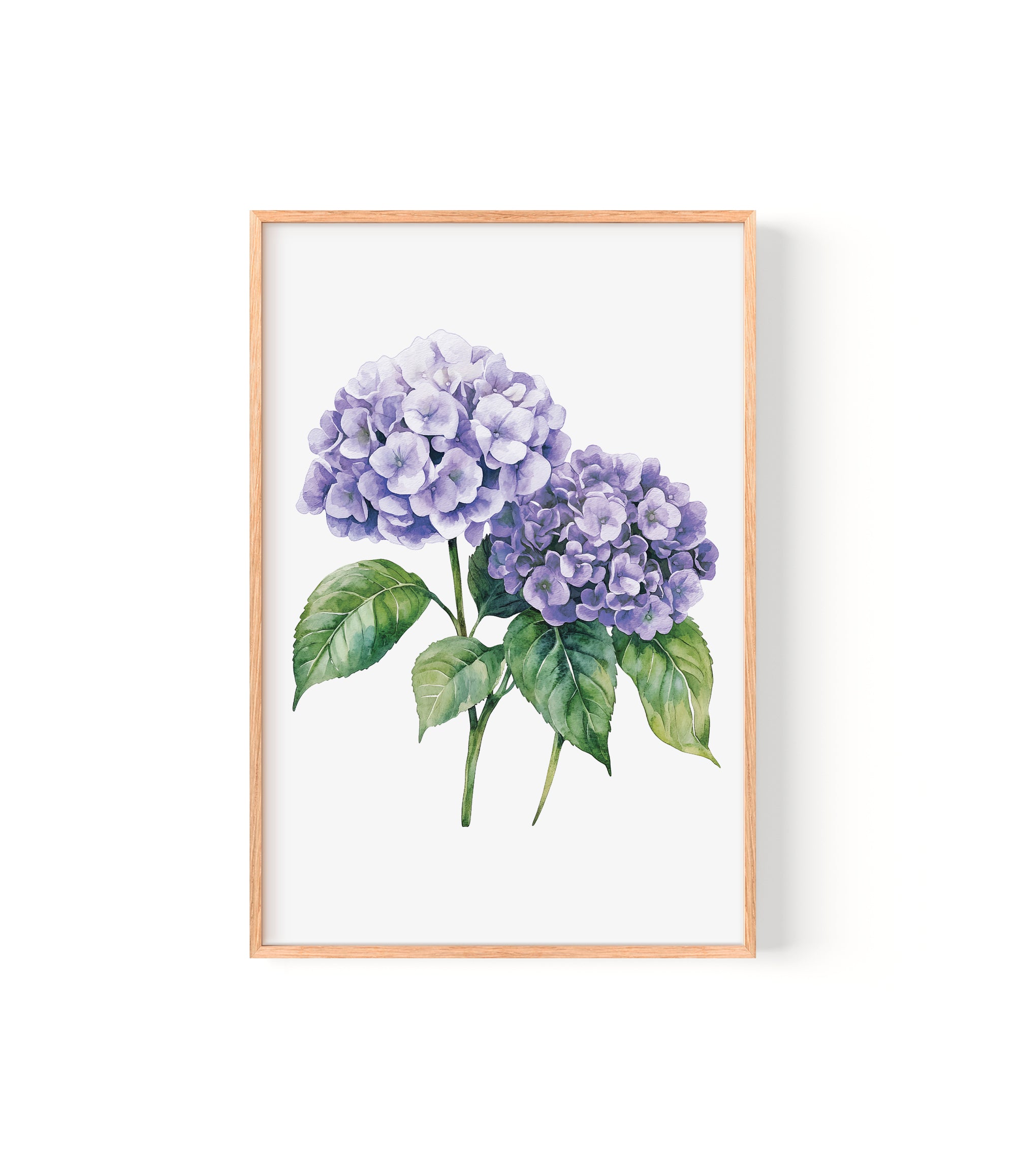 a framed watercolor painting of two purple hydrangea flowers with green leaves.