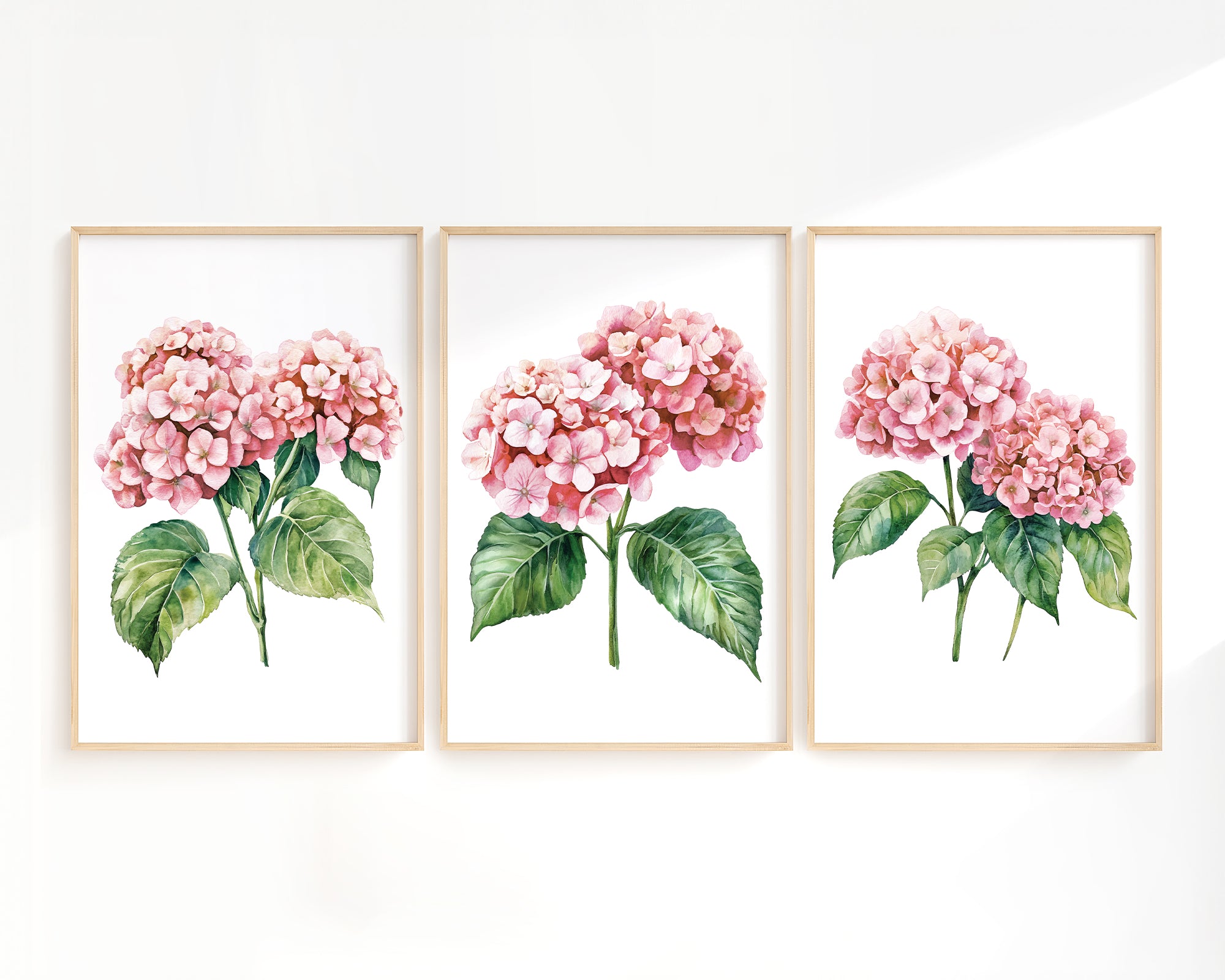 three framed watercolor paintings of pink hydrangea flowers with green leaves.