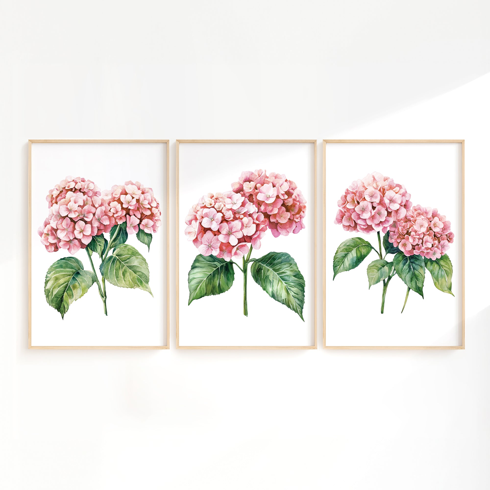 three framed watercolor paintings of pink hydrangea flowers with green leaves.