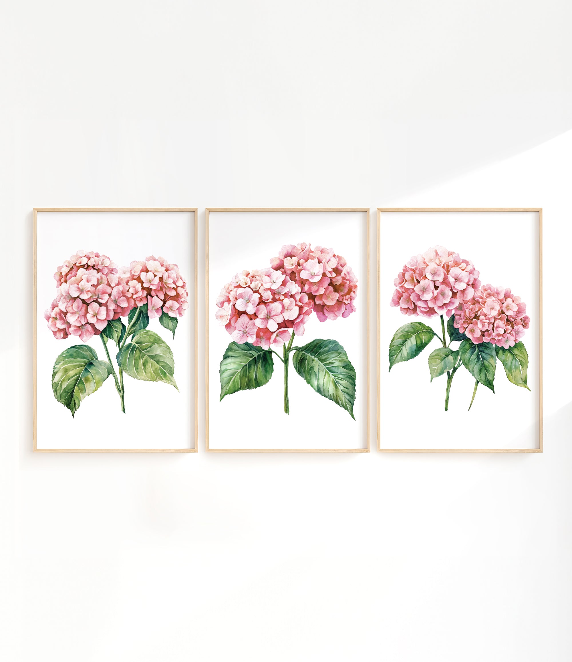 three framed watercolor paintings of pink hydrangea flowers with green leaves.