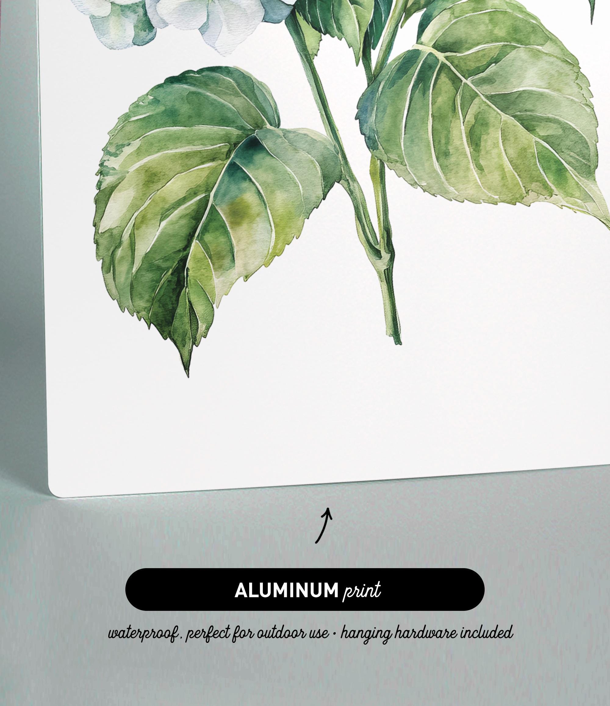 The image is an aluminum print featuring a watercolor painting of a green leaf on a stem.