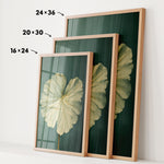 three framed prints of a large white flower, each with a different size and frame. The prints are arranged in a row, with the largest print on the left, the medium-sized print in the middle, and the smallest print on the right. The prints are displayed on a white wall, and there are arrows pointing to the size of each print.