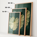 three framed prints of a large white flower, each with a different size and frame. The prints are arranged in a row, with the largest print on the left, the medium-sized print in the middle, and the smallest print on the right. The prints are displayed on a white wall, and there are arrows pointing to the size of each print.