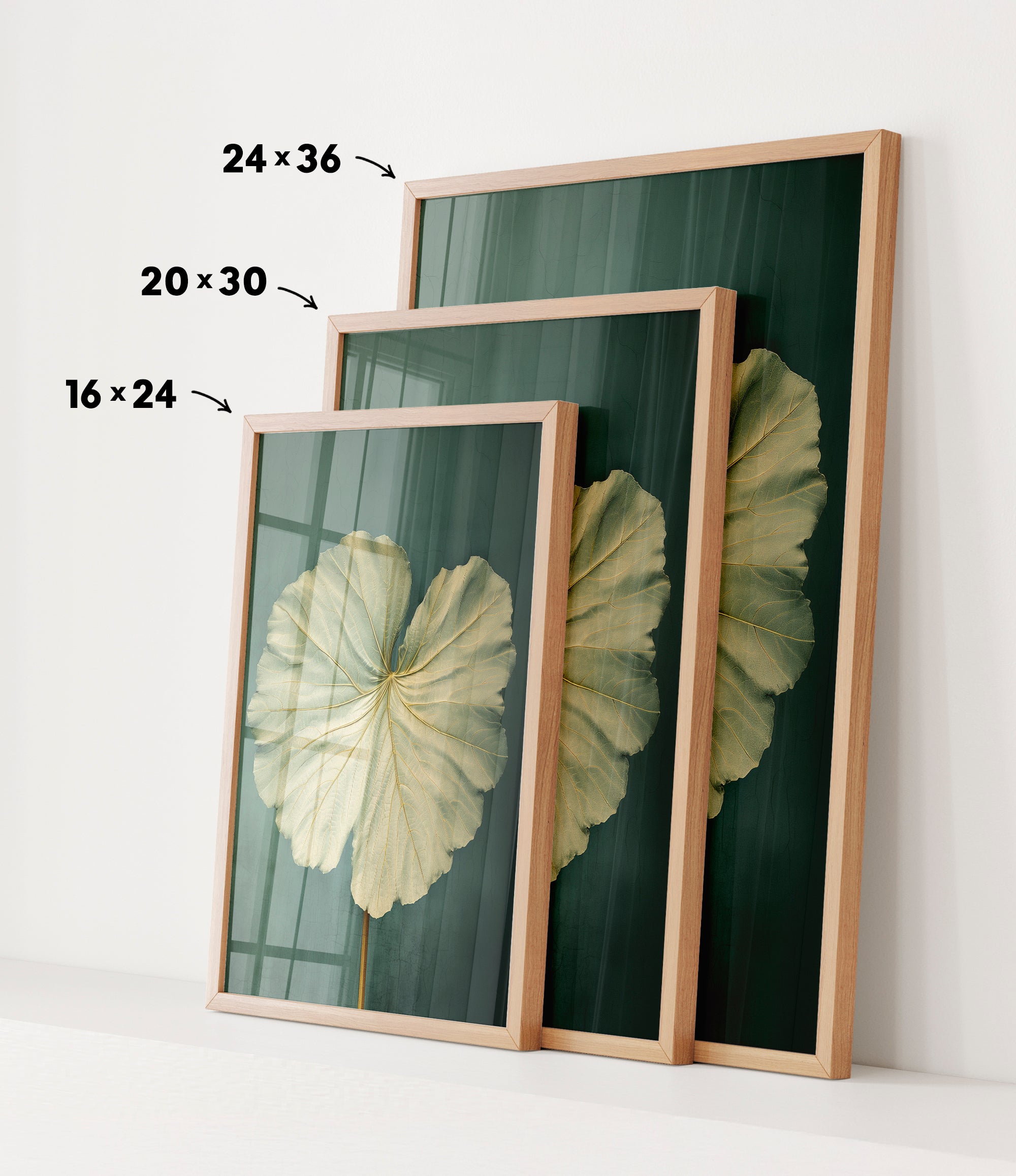 three framed prints of a large white flower, each with a different size and frame. The prints are arranged in a row, with the largest print on the left, the medium-sized print in the middle, and the smallest print on the right. The prints are displayed on a white wall, and there are arrows pointing to the size of each print.