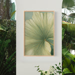 a large, vibrant green leaf with a yellow center, hanging on a white wall. The leaf is framed in a wooden frame and is surrounded by lush greenery, including palm trees and other tropical plants.