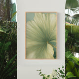 a large, vibrant green leaf with a yellow center, hanging on a white wall. The leaf is framed in a wooden frame and is surrounded by lush greenery, including palm trees and other tropical plants.