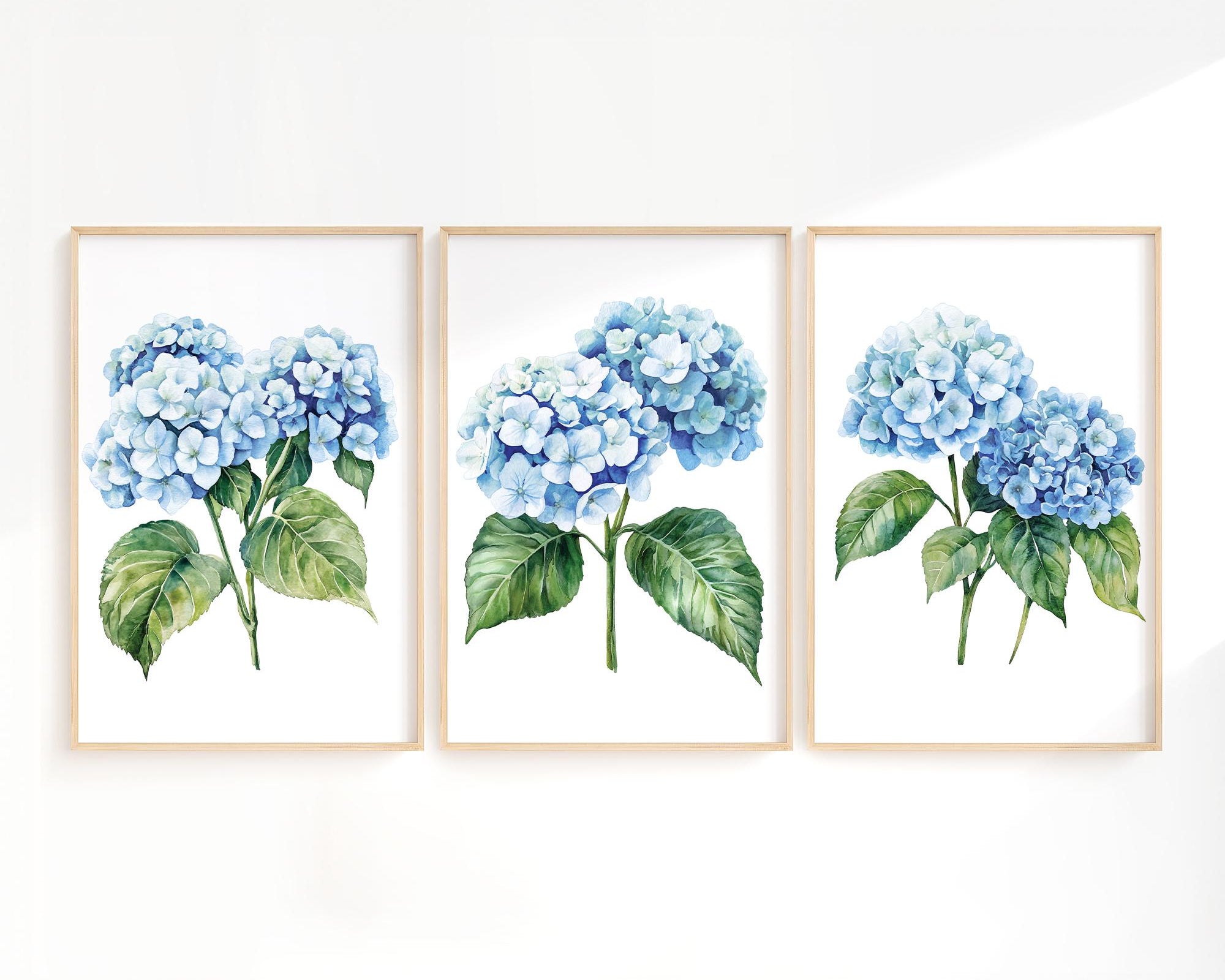three framed watercolor paintings of blue hydrangea flowers with green leaves.