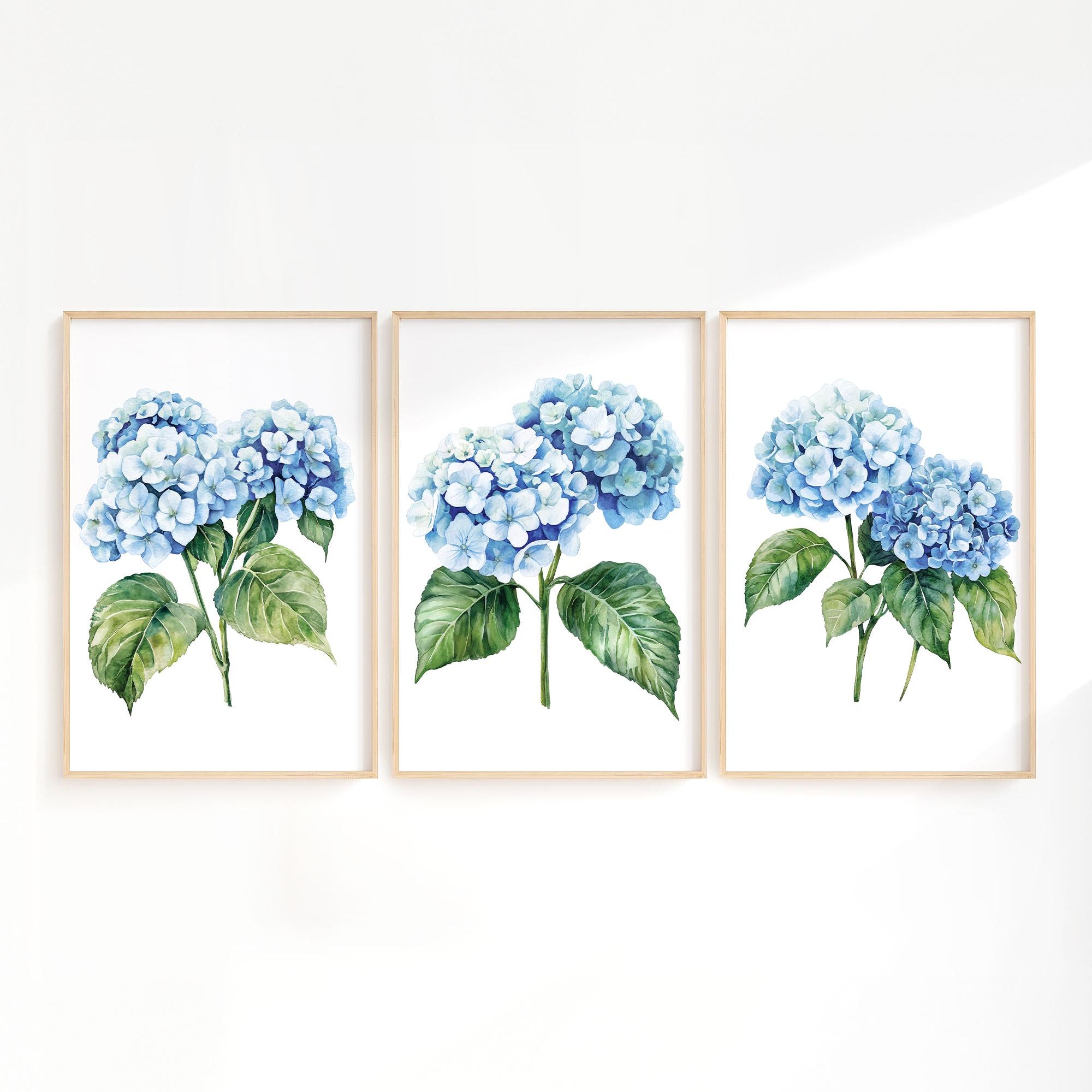 three framed watercolor paintings of blue hydrangea flowers with green leaves.