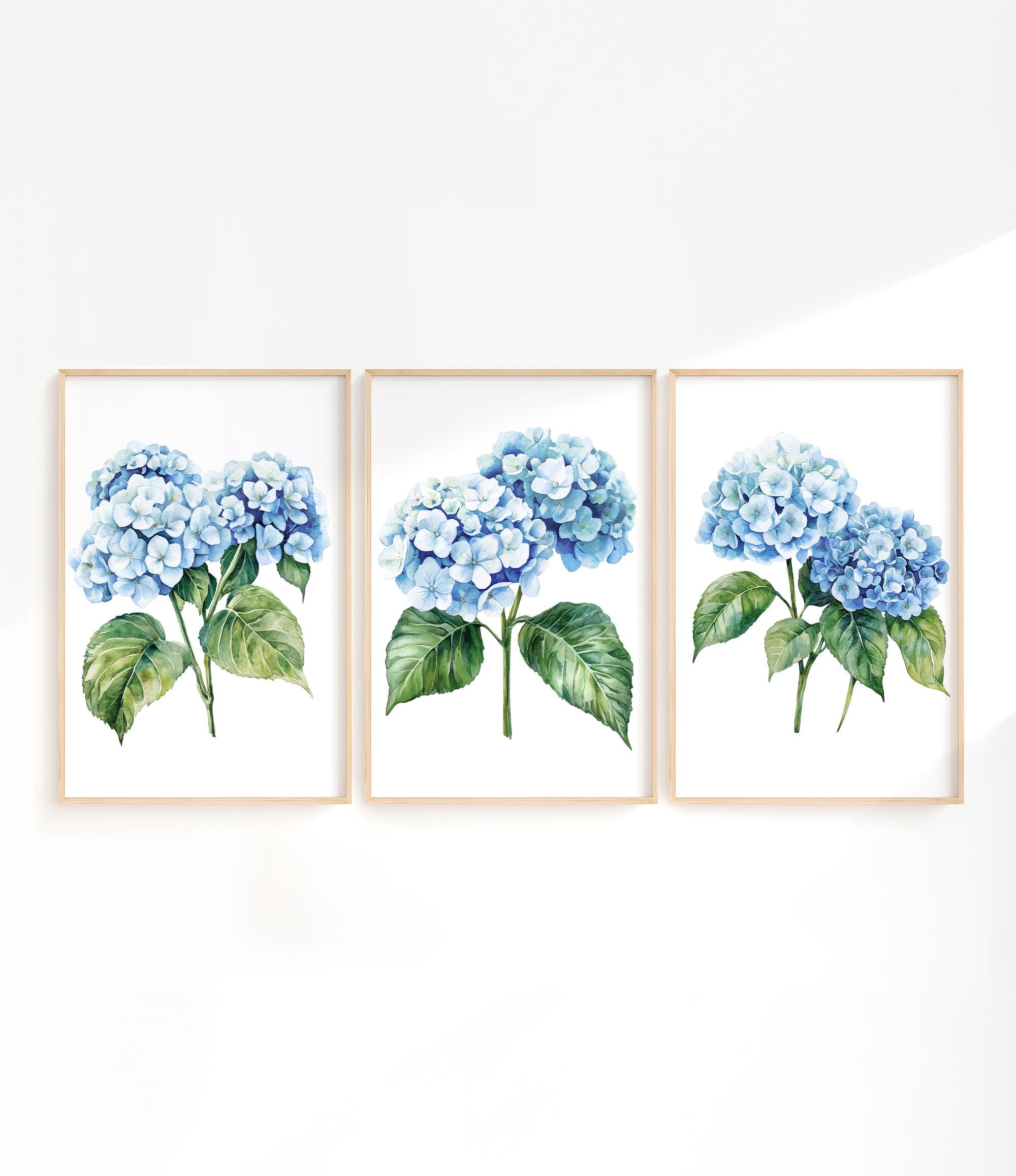 three framed watercolor paintings of blue hydrangea flowers with green leaves.