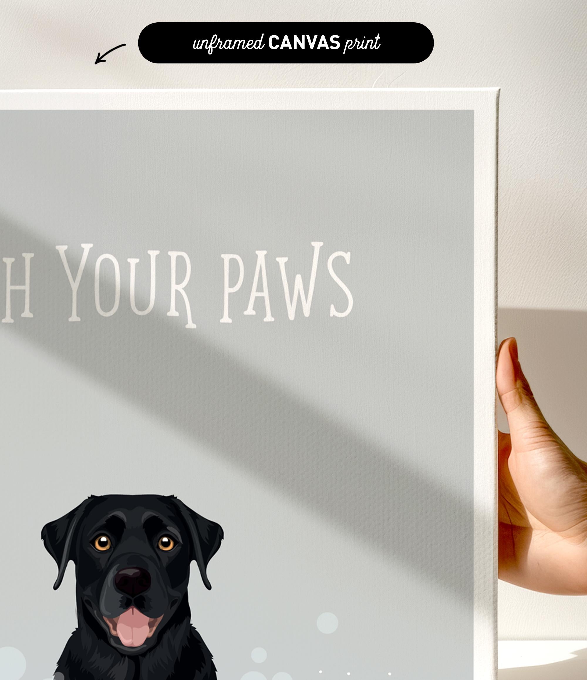 a black dog with a friendly expression, looking at the camera.