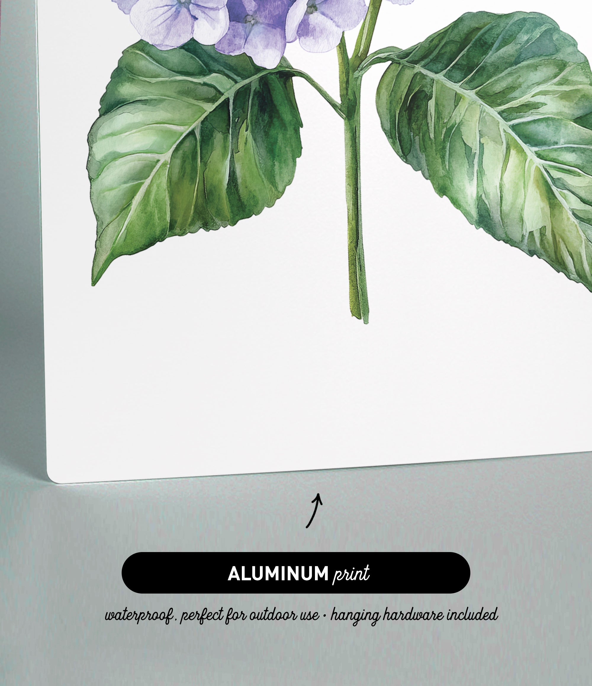 The image is an aluminum print featuring a watercolor painting of a purple flower with green leaves.