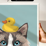 a close-up of a cat's face with a yellow rubber duck perched on its head.