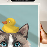 a close-up of a cat's face with a yellow rubber duck perched on its head.