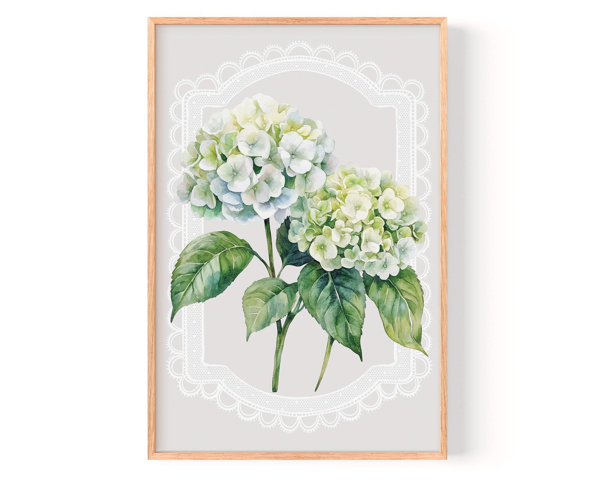 A framed print of two white hydrangea flowers with green leaves, set against a light gray background with a white lace border.
