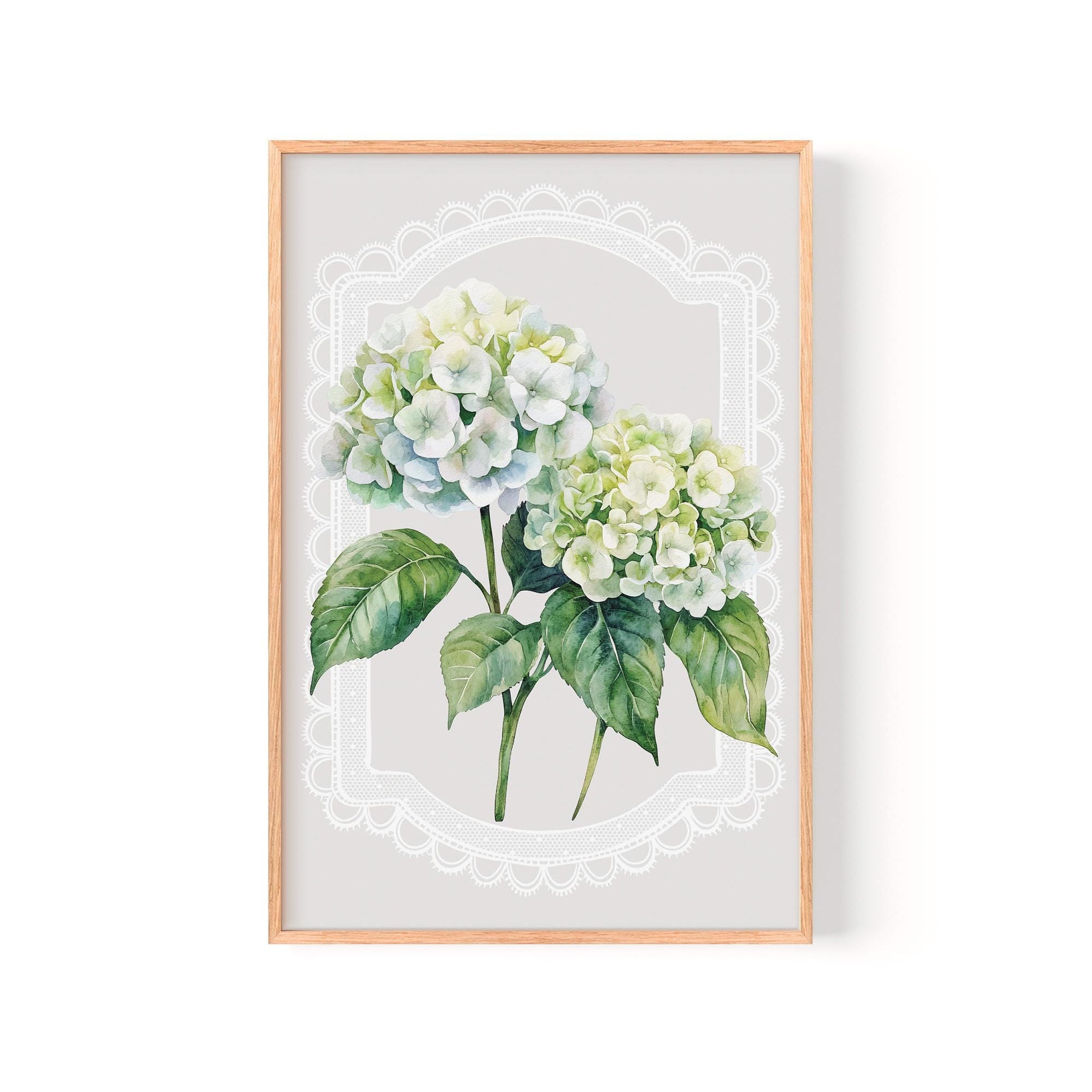 A framed print of two white hydrangea flowers with green leaves, set against a light gray background with a white lace border.