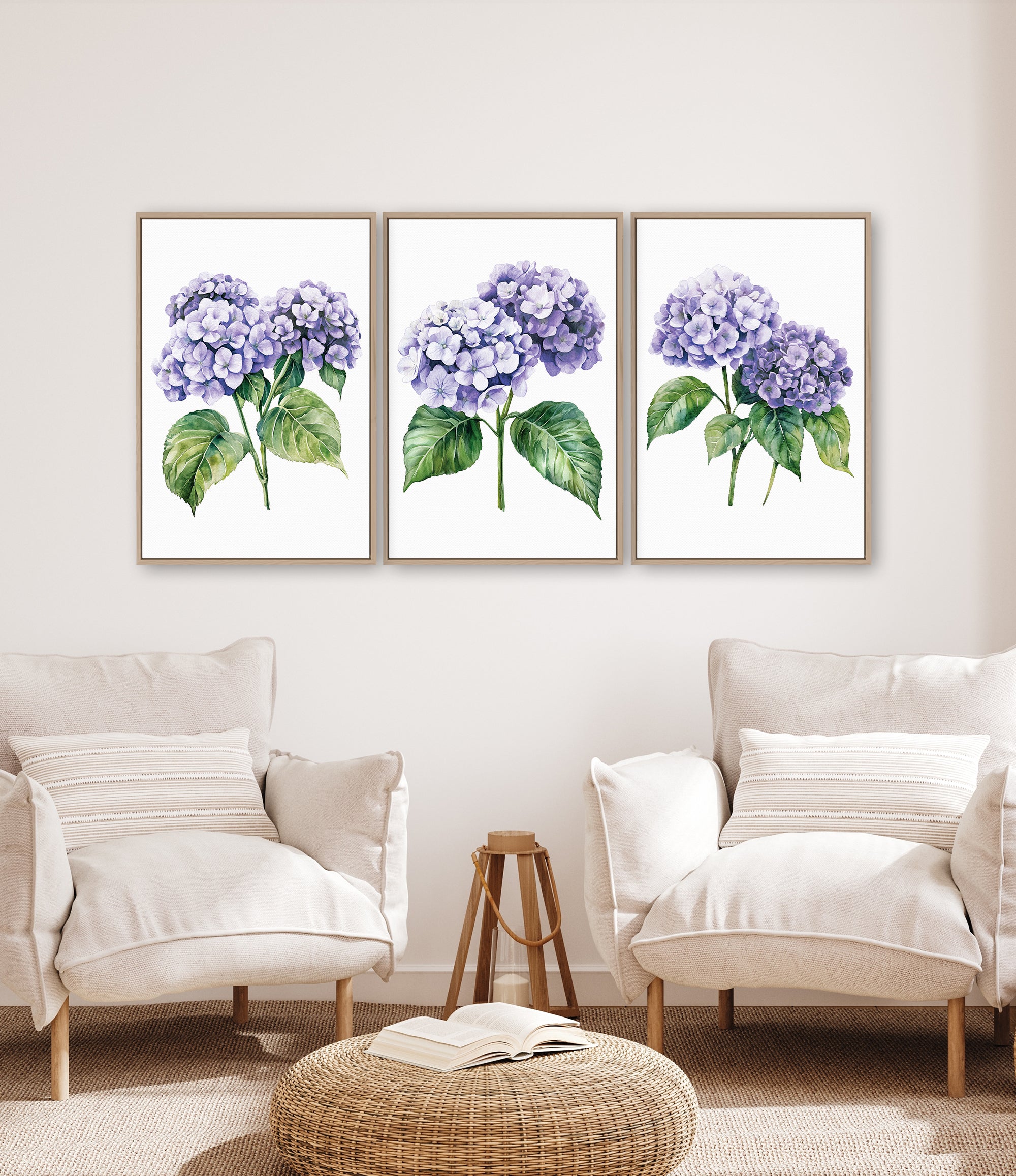 a living room with three framed watercolor paintings of purple hydrangeas hanging on the wall above two white armchairs.