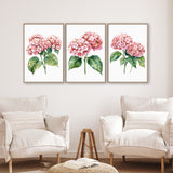a living room with three framed watercolor paintings of pink hydrangeas hanging on the wall above two white armchairs.