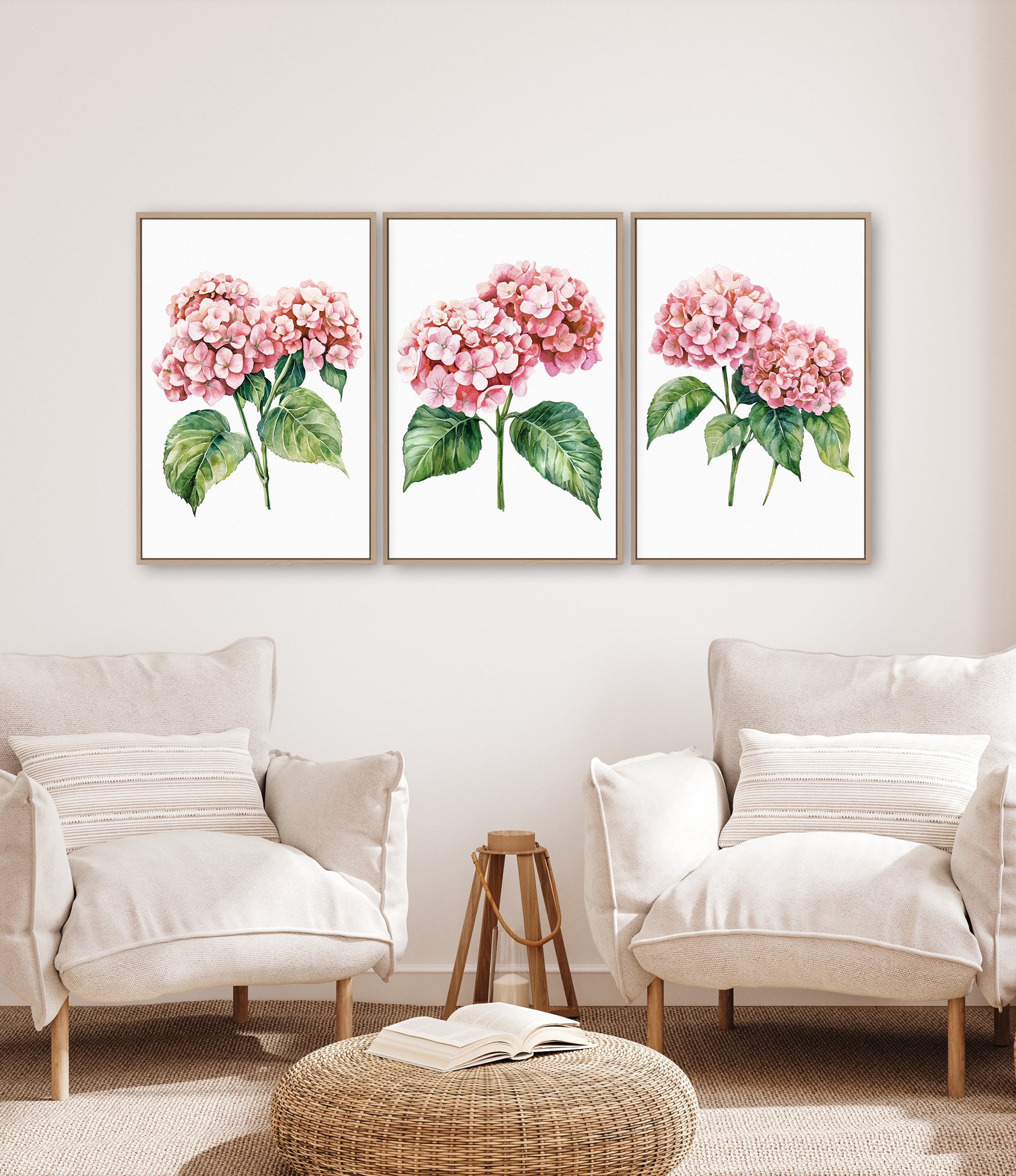a living room with three framed watercolor paintings of pink hydrangeas hanging on the wall above two white armchairs.