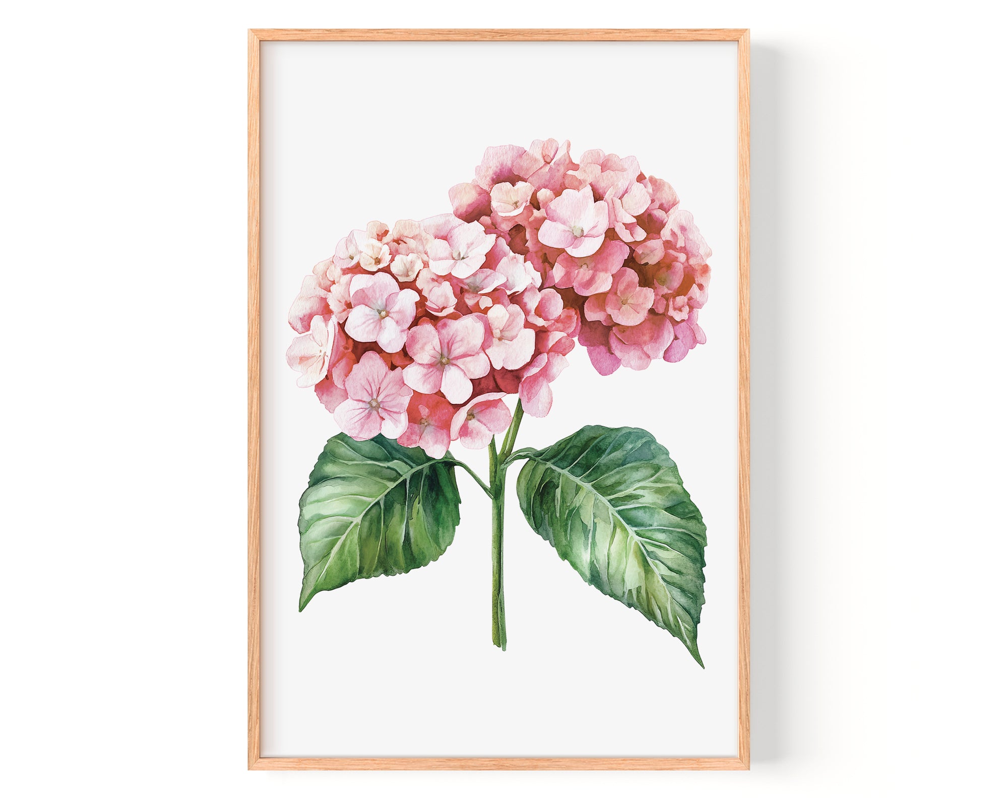A framed watercolor painting of a pink hydrangea flower with green leaves.