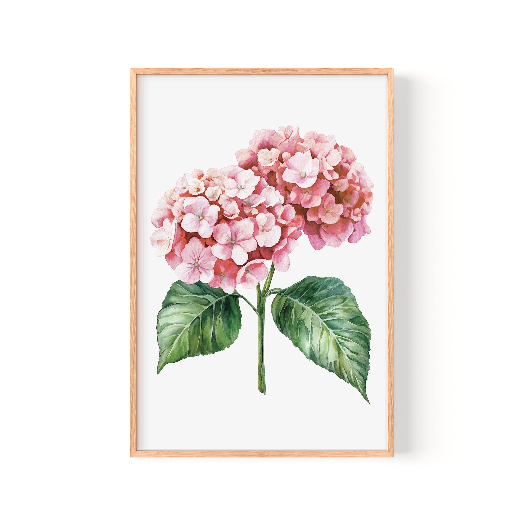 A framed watercolor painting of a pink hydrangea flower with green leaves.