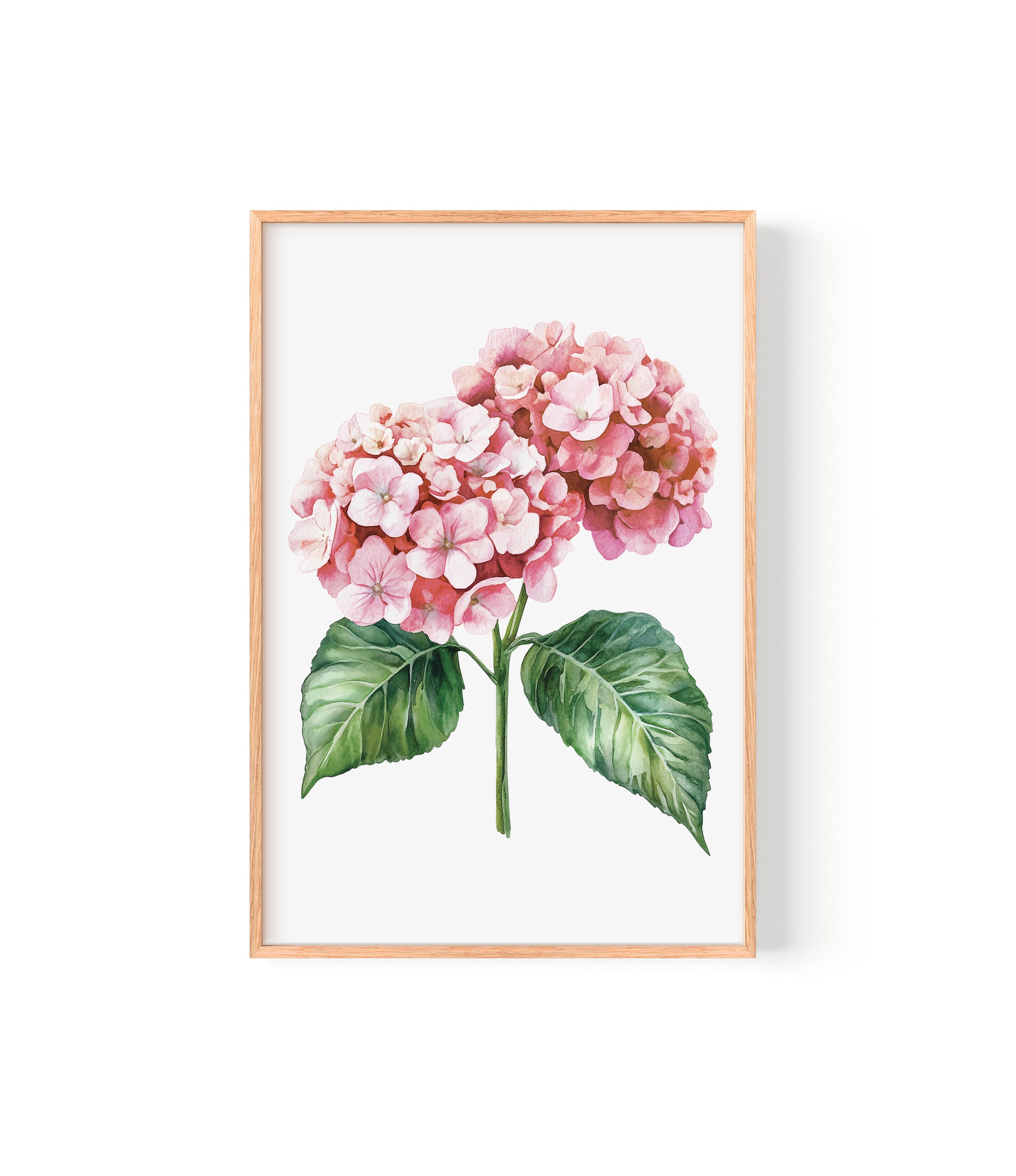 A framed watercolor painting of a pink hydrangea flower with green leaves.