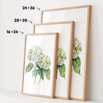 three framed prints of a watercolor painting of white hydrangea flowers, each with a different size and frame.