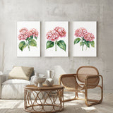 a cozy living room with a wicker coffee table, a wooden chair, and three framed watercolor paintings of pink hydrangeas hanging on the wall above the seating area.