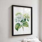 a framed watercolor painting of two white hydrangea flowers with green leaves, hanging on a wall above a bed with white pillows.