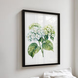 a framed watercolor painting of two white hydrangea flowers with green leaves, hanging on a wall above a bed with white pillows.