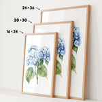 three framed prints of blue hydrangea flowers, each with a different size and frame. The prints are arranged in a row, with the largest print on the left, the medium-sized print in the middle, and the smallest print on the right. The prints are framed with wooden borders, and the sizes of the prints are indicated by the numbers 24, 36, and 16 on the left, 20, 30, and 24 on the middle, and 16, 24, and 30 on the right.