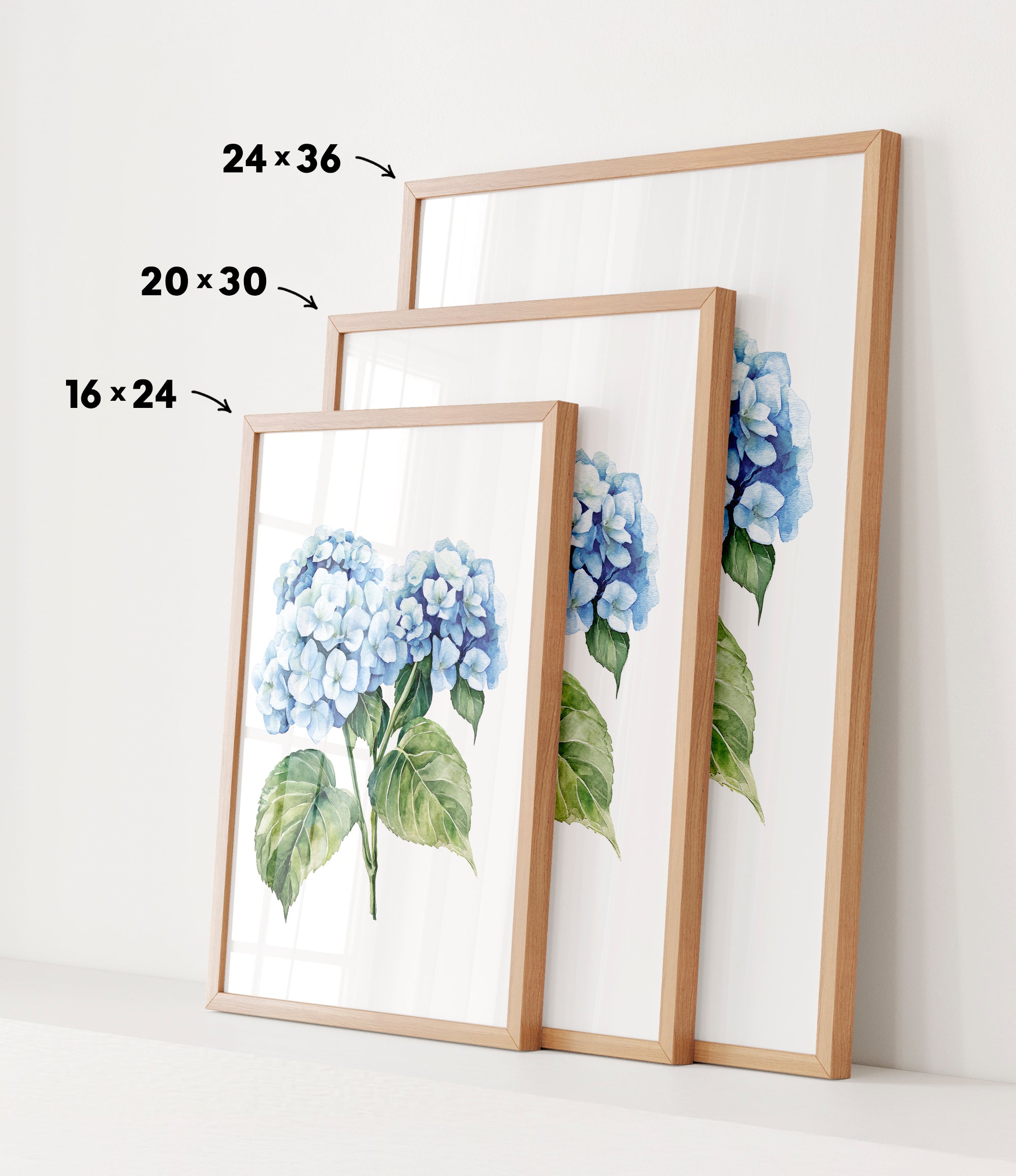 three framed prints of blue hydrangea flowers, each with a different size and frame. The prints are arranged in a row, with the largest print on the left, the medium-sized print in the middle, and the smallest print on the right. The prints are framed with wooden borders, and the sizes of the prints are indicated by the numbers 24, 36, and 16 on the left, 20, 30, and 24 on the middle, and 16, 24, and 30 on the right.