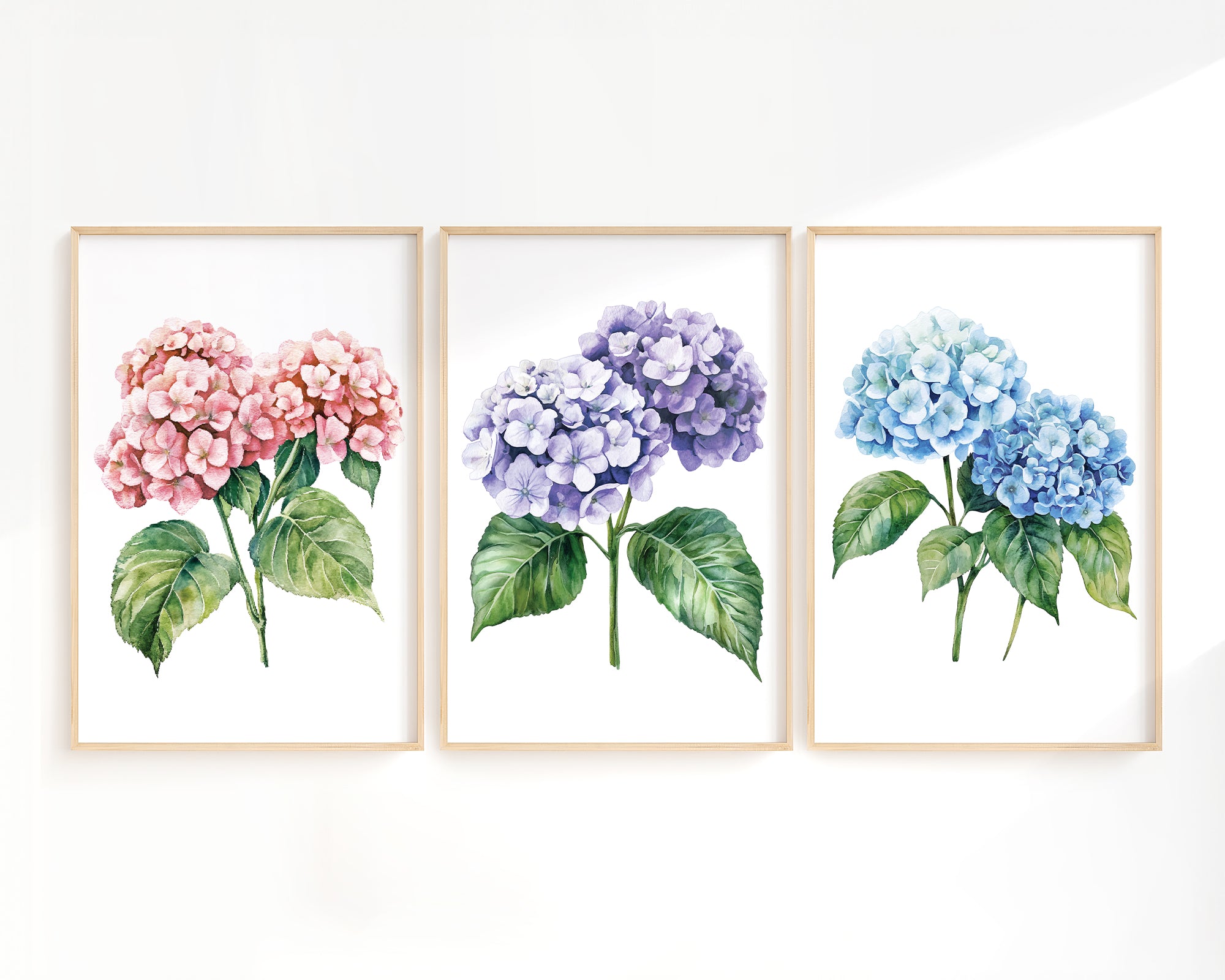three framed watercolor paintings of hydrangea flowers in different colors: pink, purple, and blue.