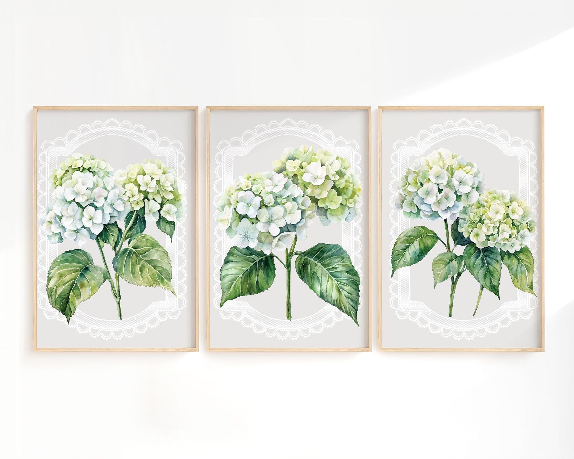 three framed watercolor paintings of white hydrangea flowers with green leaves, arranged in a row on a white wall.