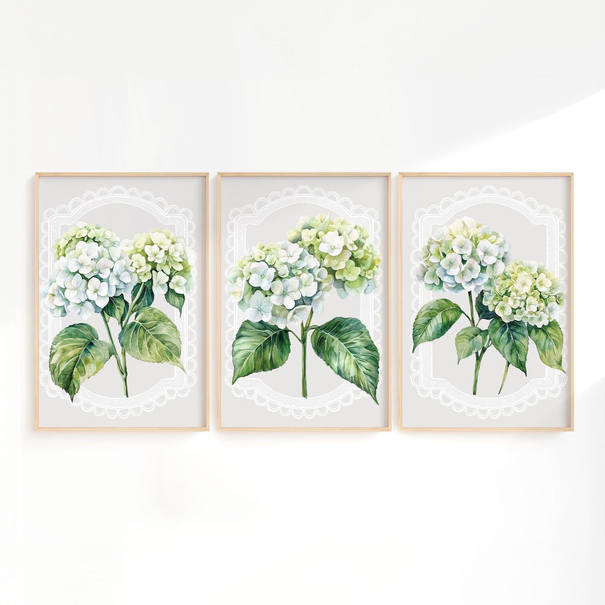 three framed watercolor paintings of white hydrangea flowers with green leaves, arranged in a row on a white wall.