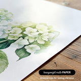 a close-up view of a watercolor painting of white hydrangea flowers on a white background.