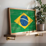 a picture of the flag of brazil on a shelf next to a potted plant