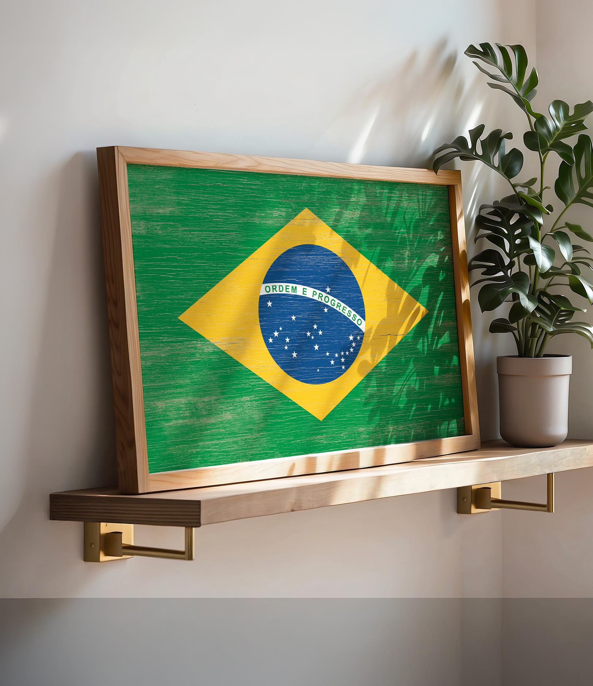 a picture of the flag of brazil on a shelf next to a potted plant