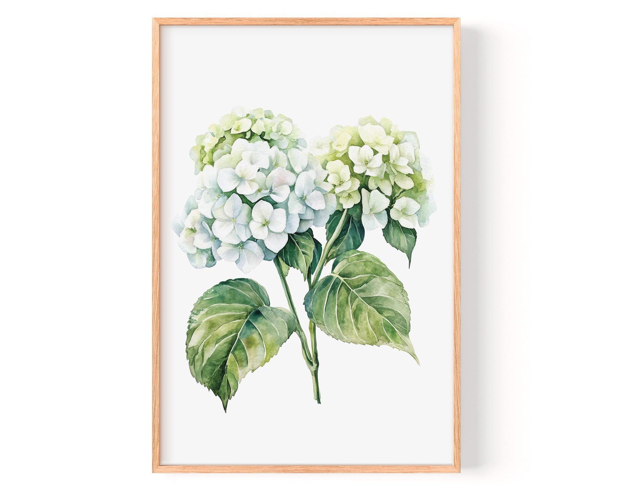 A framed watercolor painting depicting a bouquet of white hydrangea flowers with green leaves.