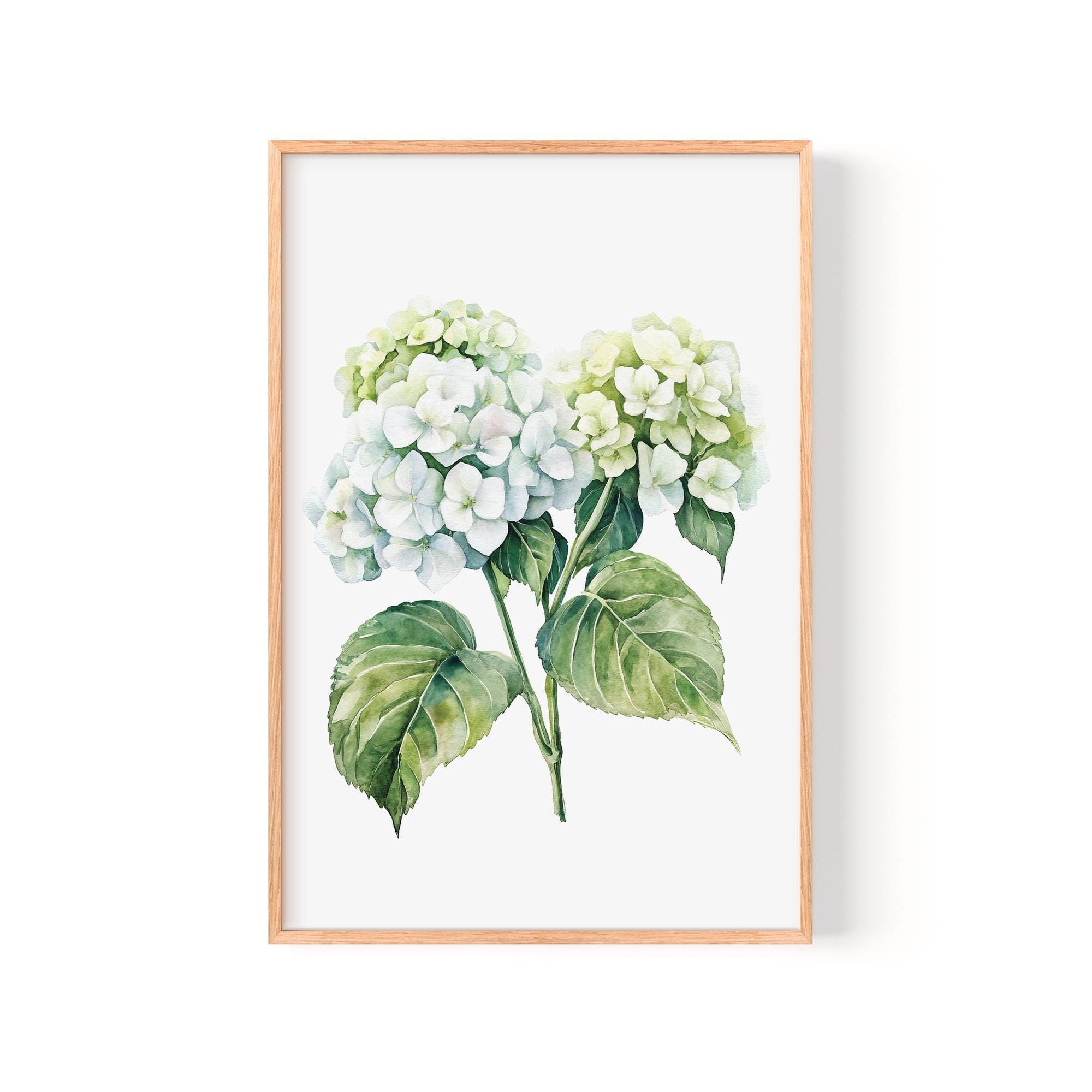 A framed watercolor painting depicting a bouquet of white hydrangea flowers with green leaves.