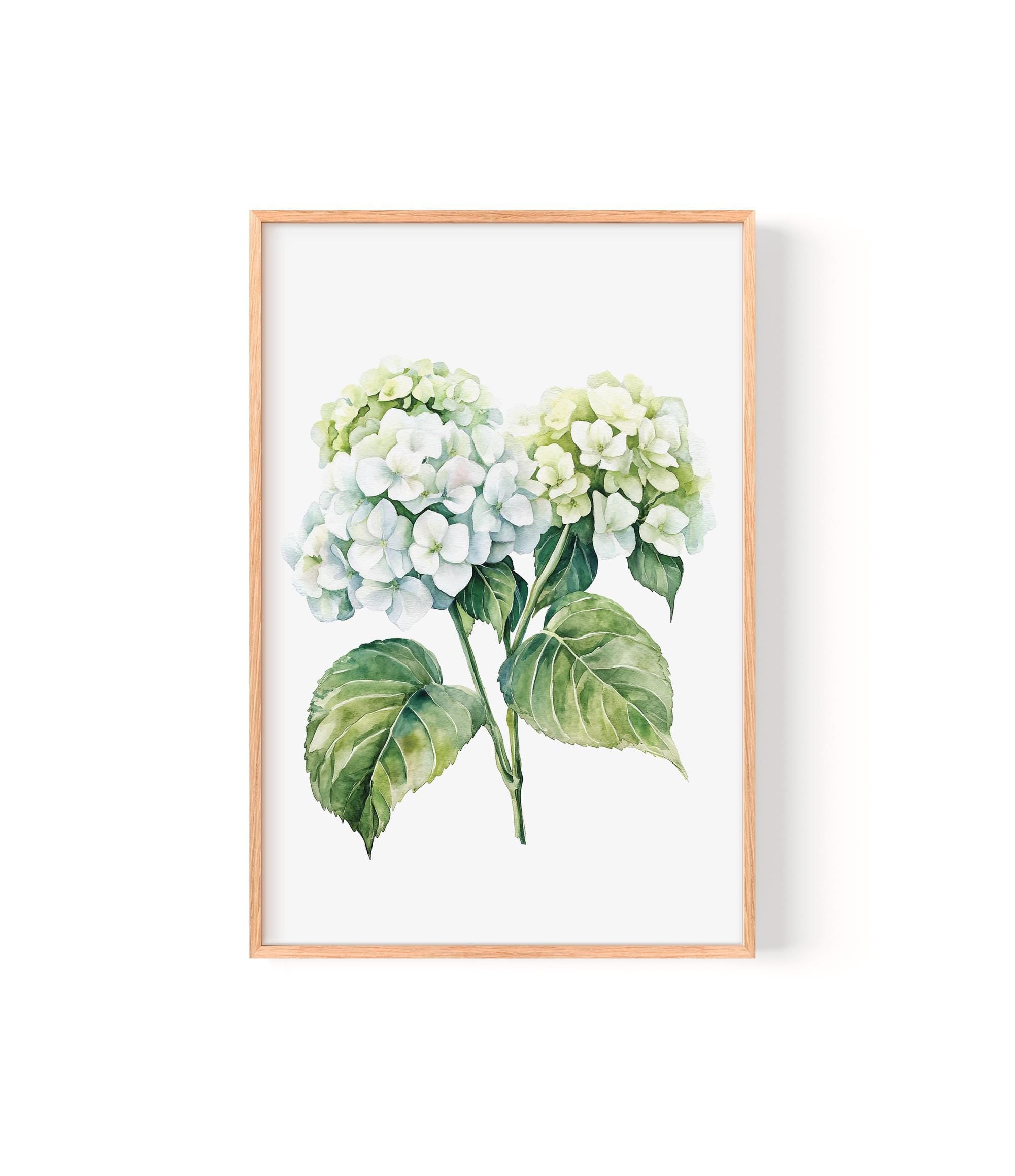 A framed watercolor painting depicting a bouquet of white hydrangea flowers with green leaves.