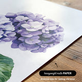 a close-up of a watercolor painting of a cluster of purple hydrangea flowers on a white background.