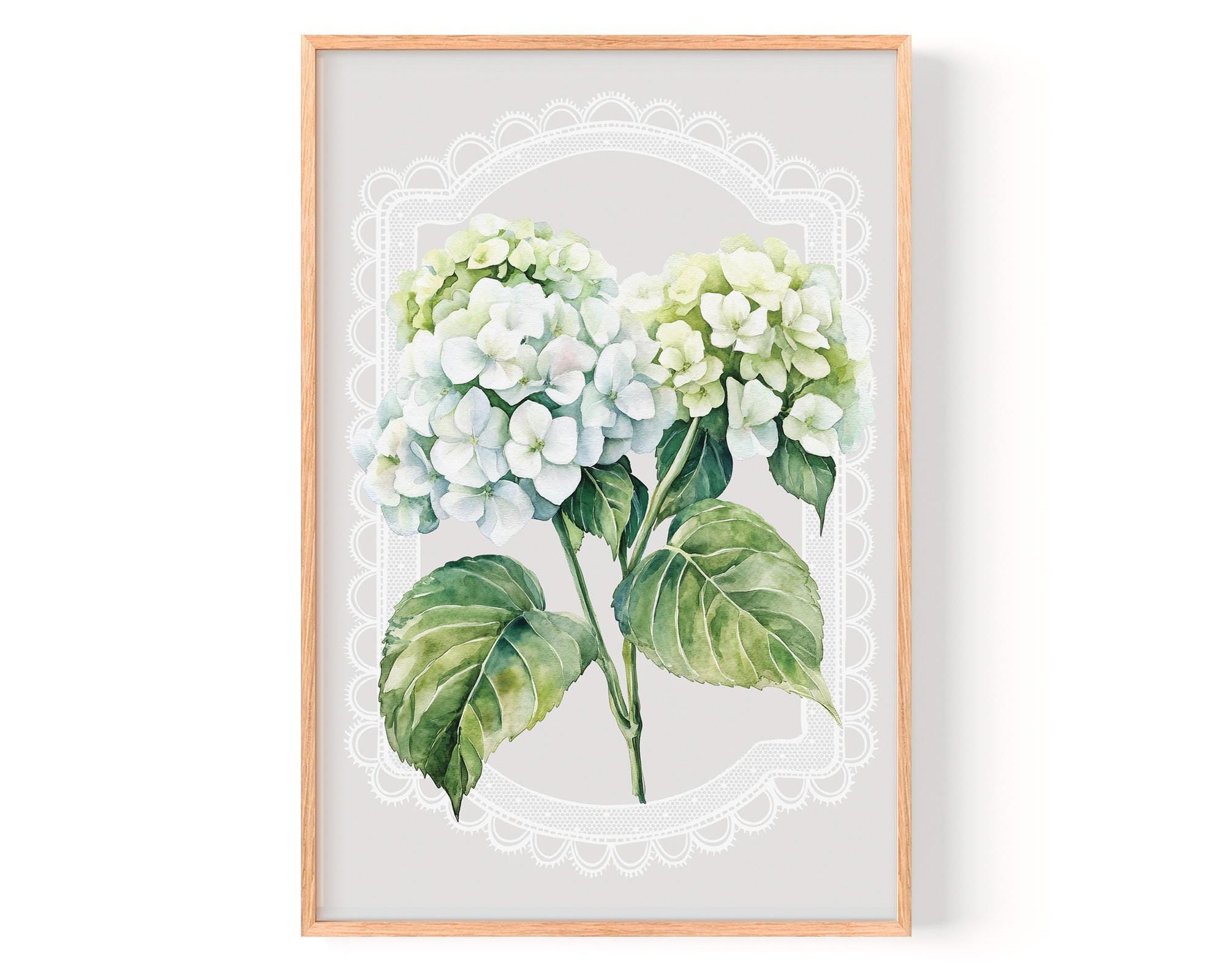 A framed print of a watercolor painting depicting two white hydrangea flowers with green leaves, set against a light gray background with a white lace-like border.