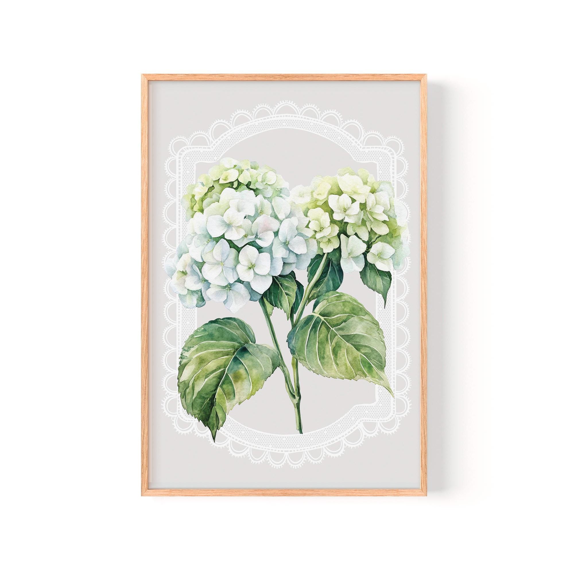 A framed print of a watercolor painting depicting two white hydrangea flowers with green leaves, set against a light gray background with a white lace-like border.