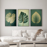 a living room with a white sofa and a coffee table. Above the sofa, there are three framed paintings of tropical leaves in different colors - green, yellow, and white.
