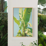 a framed painting of a banana tree with large, vibrant green leaves against a blue background.