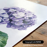 a close-up of a watercolor painting of a cluster of purple hydrangea flowers on a white background.