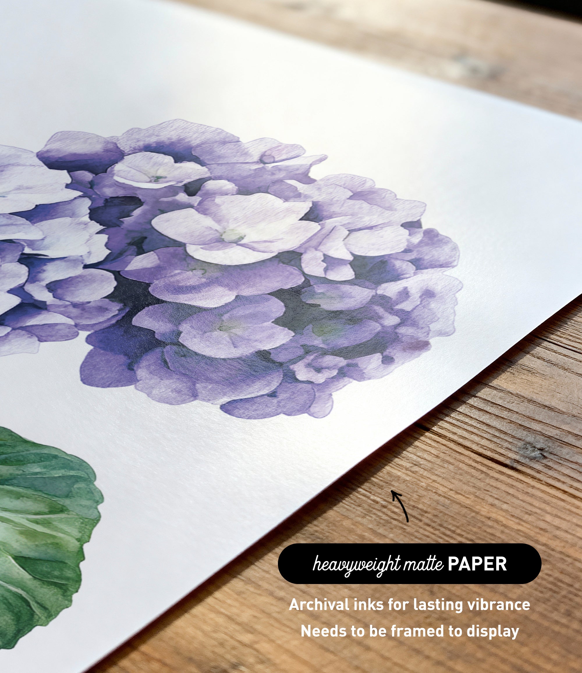 a close-up of a watercolor painting of a cluster of purple hydrangea flowers on a white background.