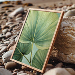 A framed photograph of a large green leaf is displayed on a rocky beach, with the natural elements of the scene providing a serene backdrop.